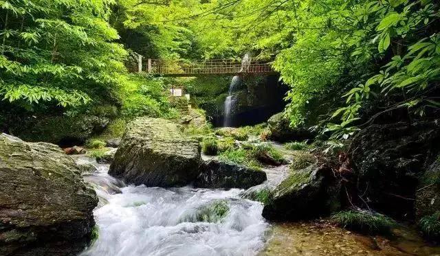 日照到安徽多远_日照离安徽哪里最近_安徽到日照自驾游